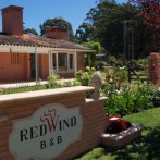 Red Wind
